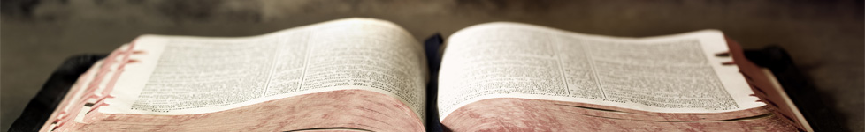 A Program For Reading The Bible In One Year